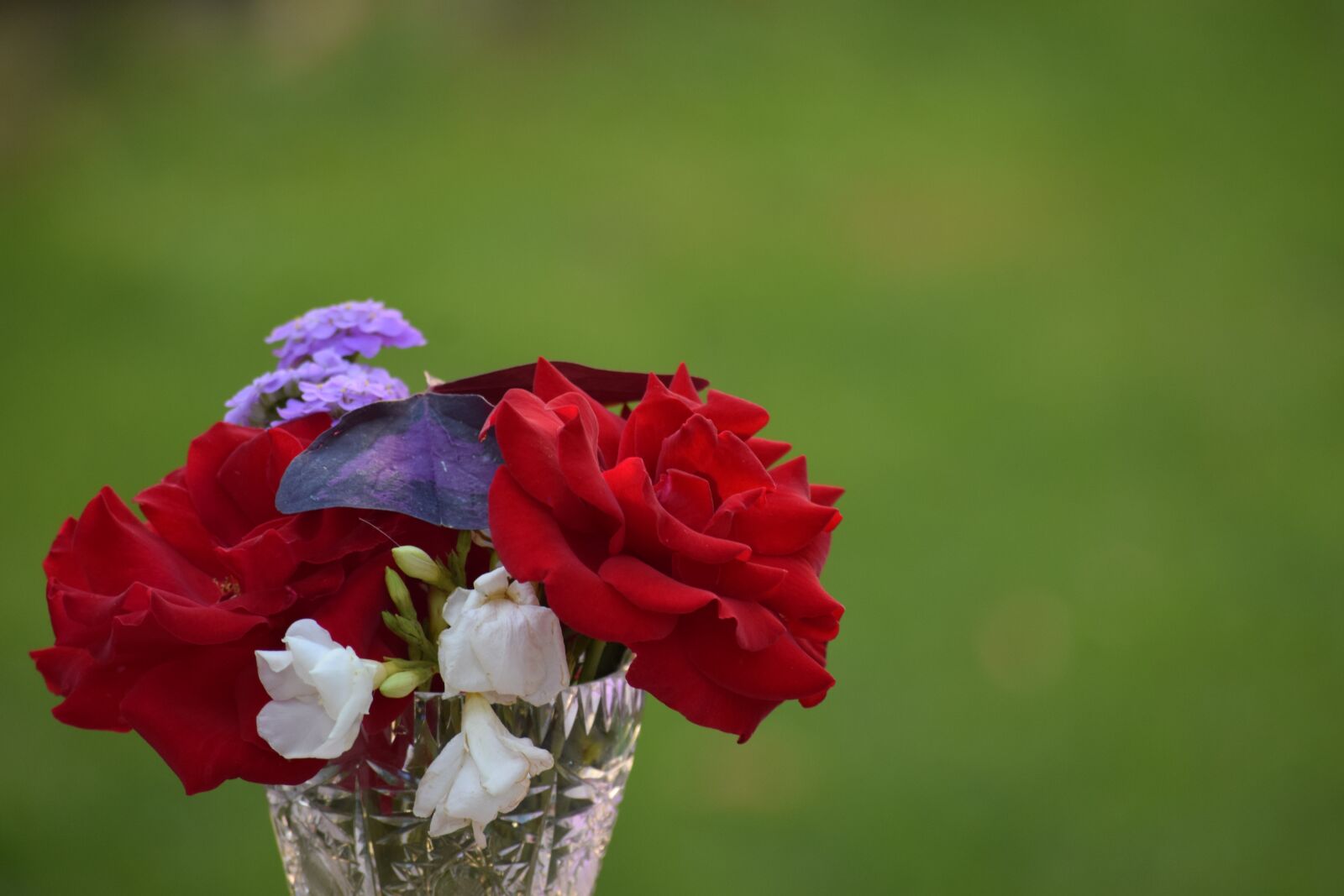 Nikon D3300 sample photo. Flowers, garden, pollen photography