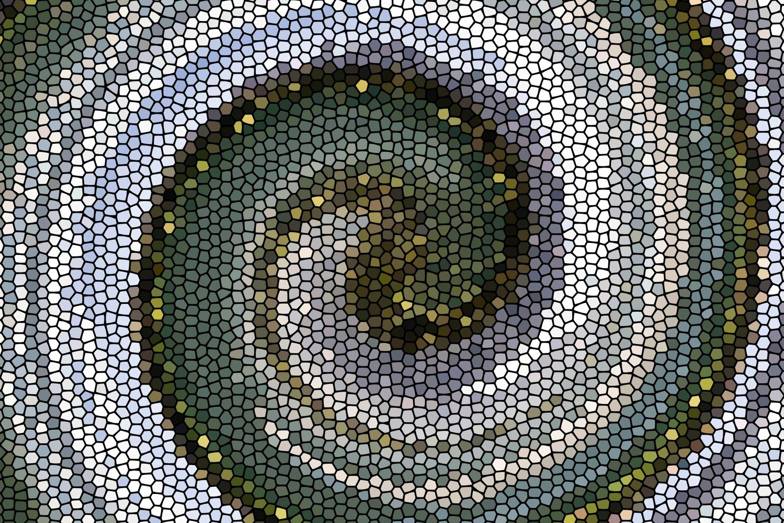 Nikon D3100 sample photo. Spiral, mosaic, abstract photography