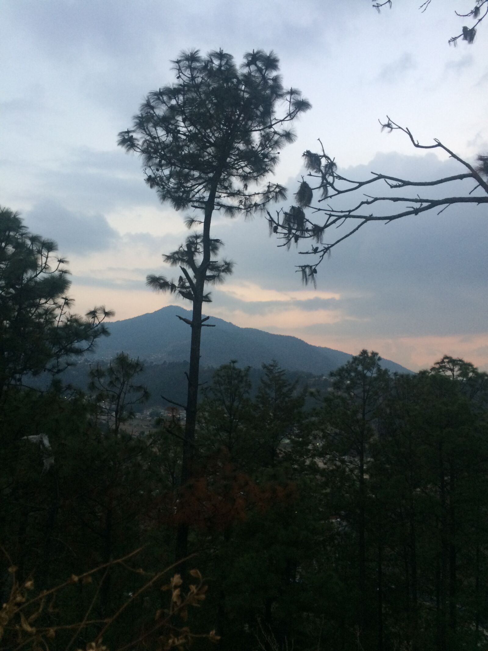 iPhone 5s back camera 4.15mm f/2.2 sample photo. Tree, sunset, volcano photography