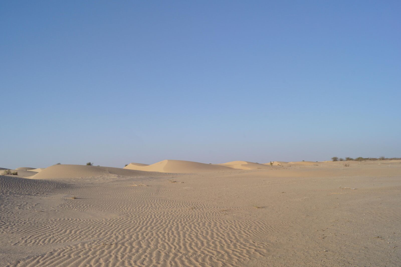 Sony DT 18-55mm F3.5-5.6 SAM II sample photo. Desert, sand, dry photography