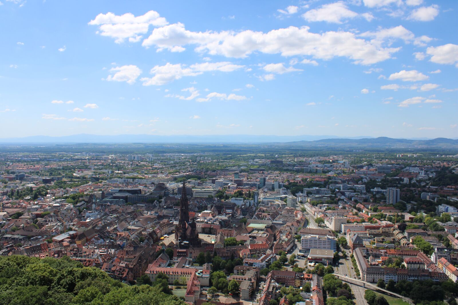 Canon EOS 2000D (EOS Rebel T7 / EOS Kiss X90 / EOS 1500D) sample photo. Freiburg, münster, sky photography