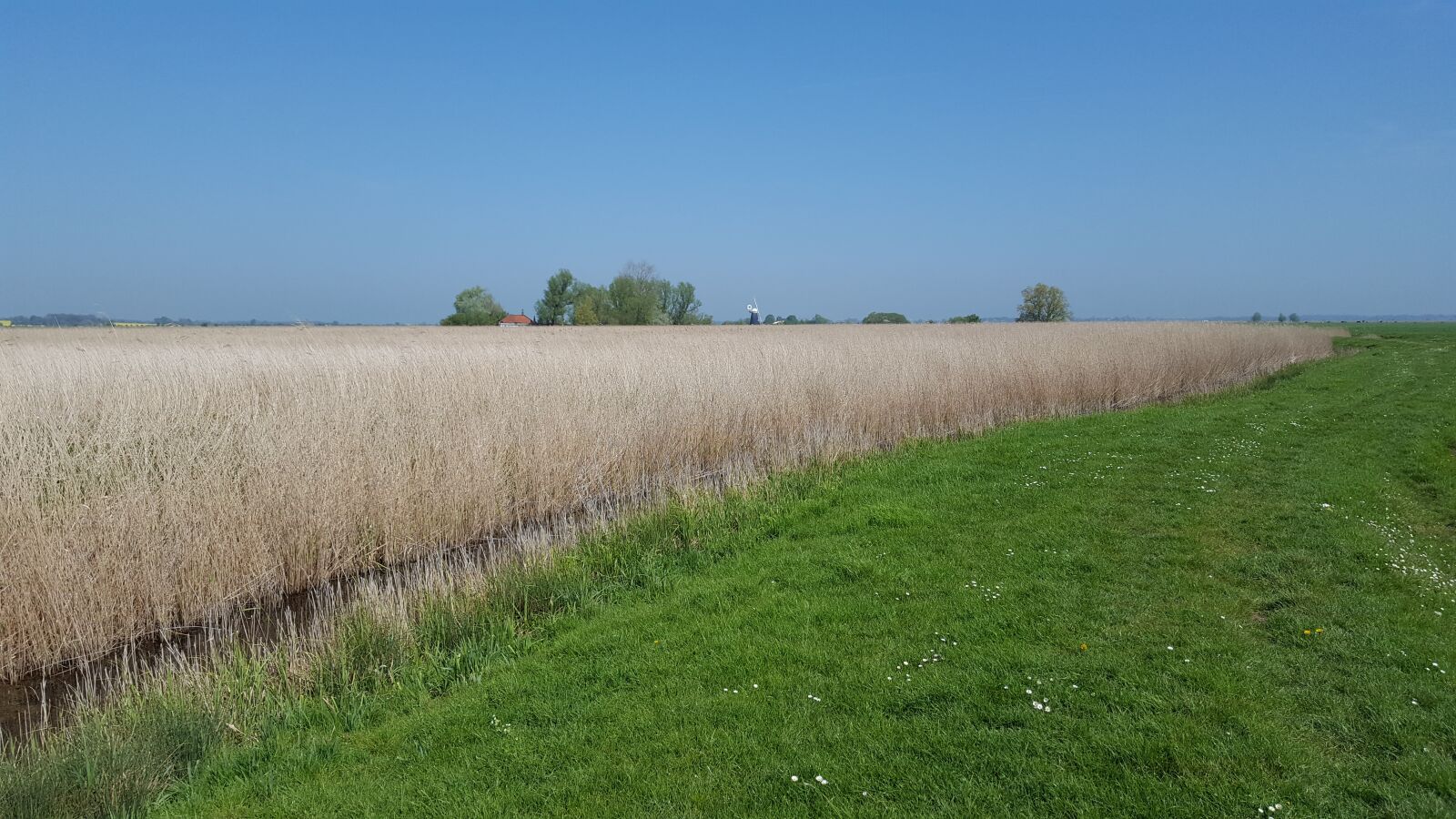 Samsung Galaxy S6 sample photo. Halvergate marshes, norfolk uk photography