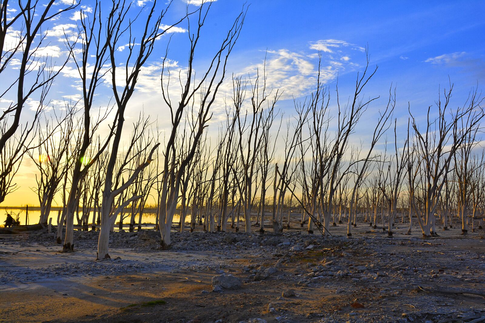 Nikon D7100 sample photo. Epecuen, buenos aires, argentina photography