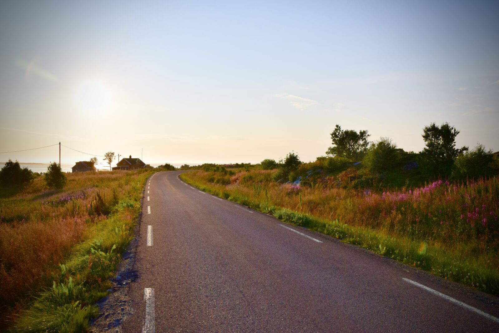 Nikon D5300 sample photo. Road, nature, grass photography