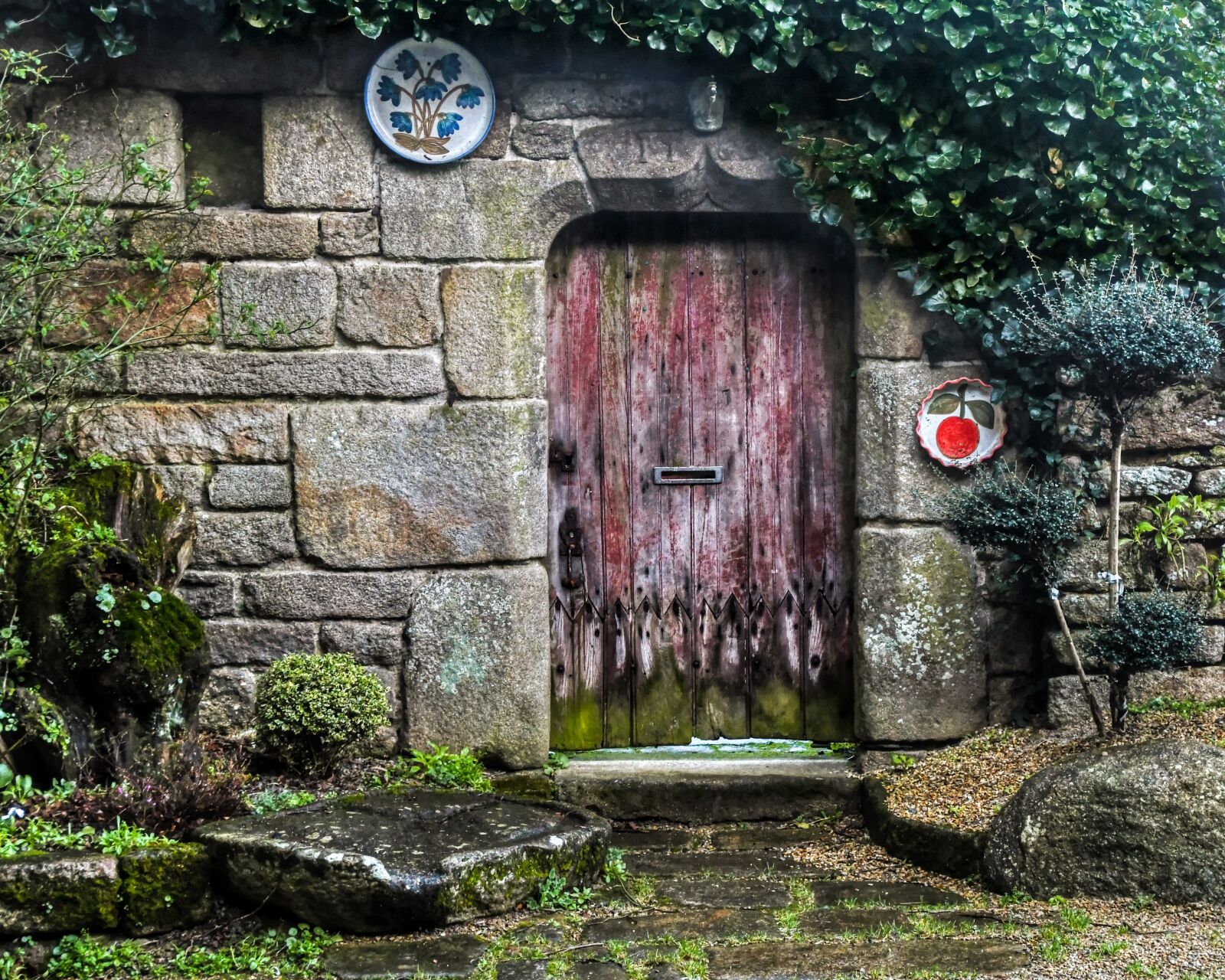 Nikon D500 sample photo. Door, old, facade photography