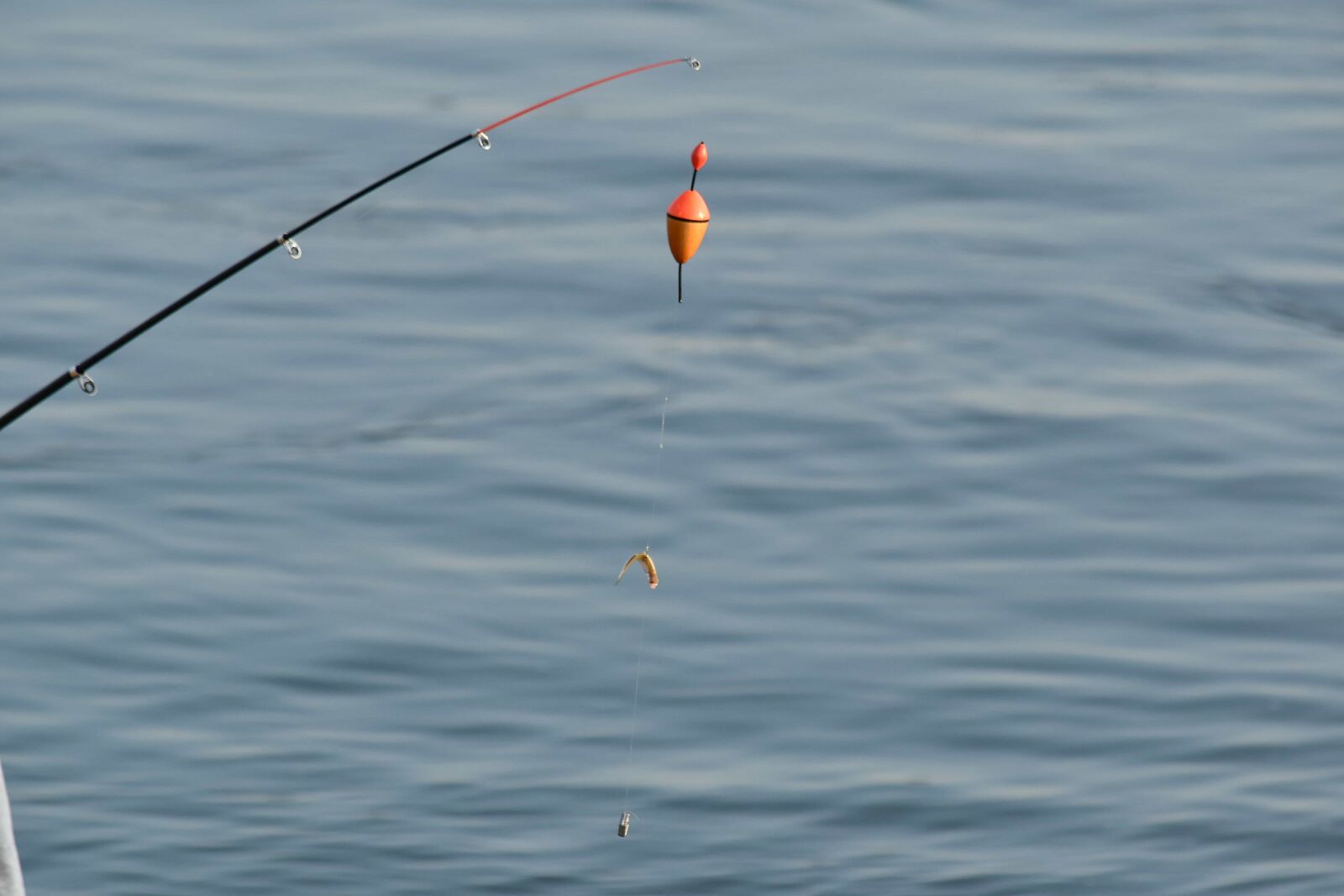 Nikon D5500 sample photo. Fishing gear, fishing rod photography