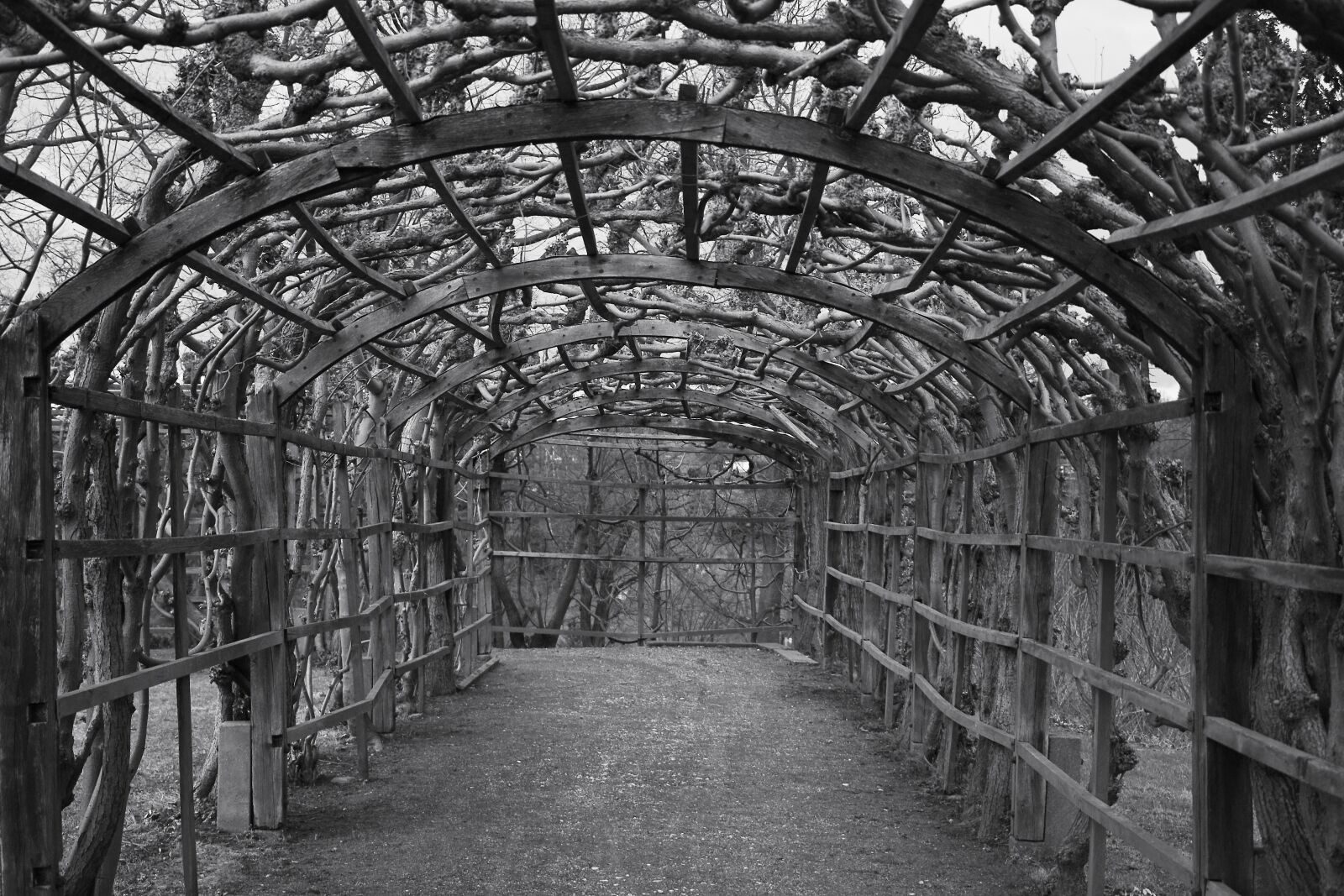 Canon EOS 6D sample photo. Black and white photography photography