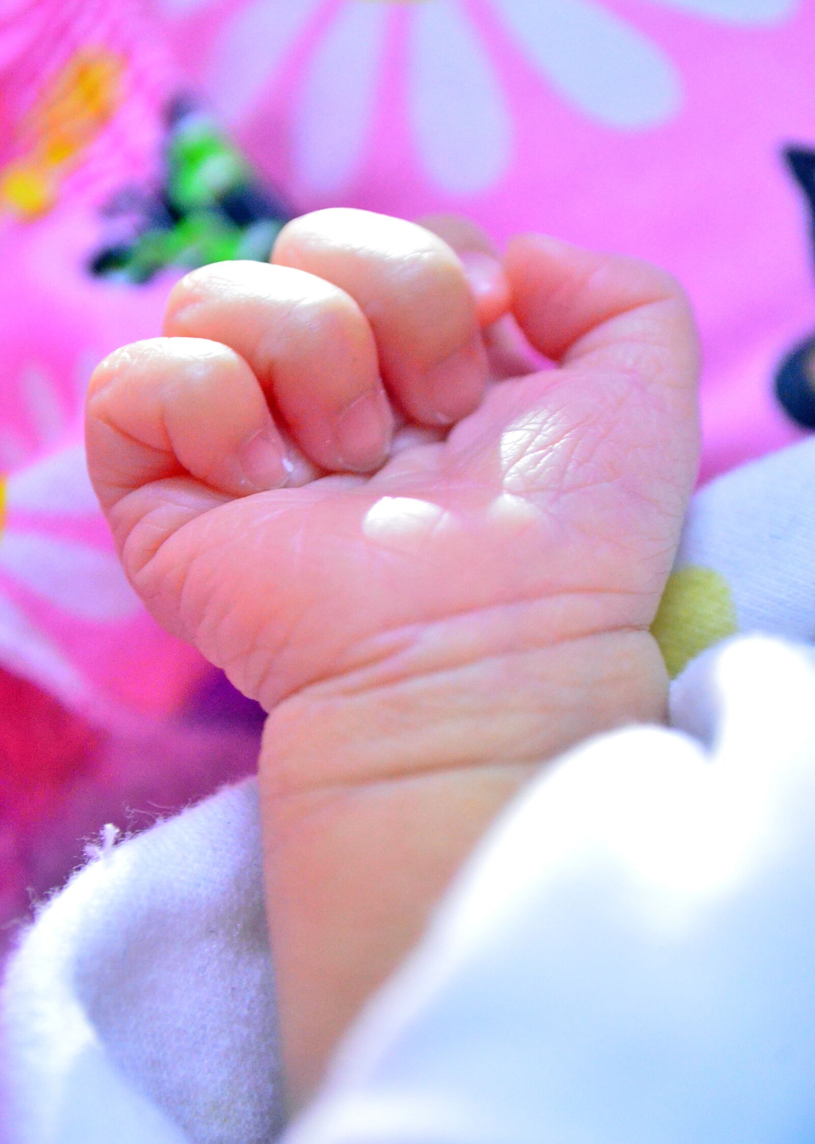 Nikon D5100 sample photo. New born, infant, fragile photography