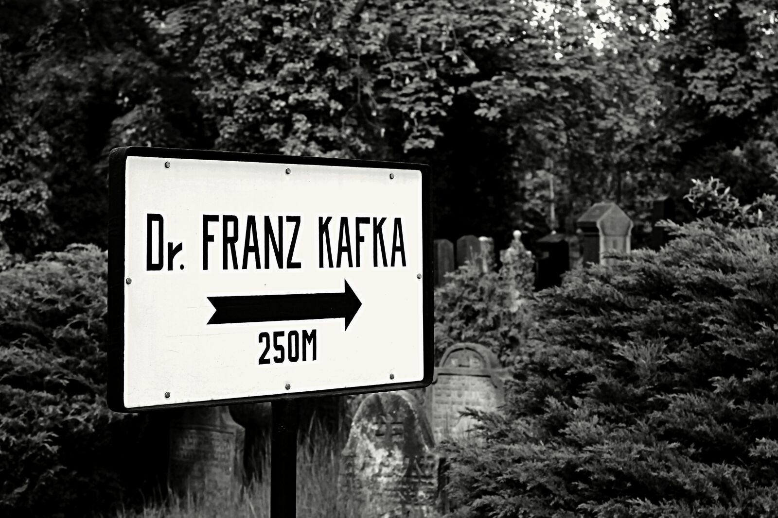 Canon EOS 1100D (EOS Rebel T3 / EOS Kiss X50) sample photo. Cemetery, signs, direction photography