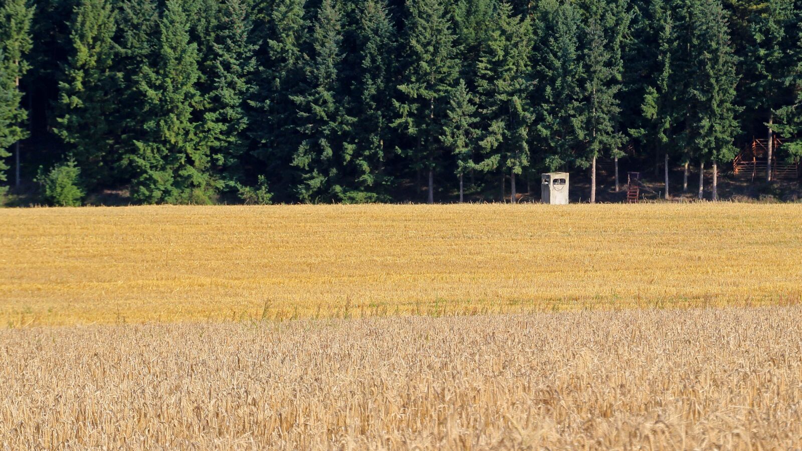 Canon EOS 600D (Rebel EOS T3i / EOS Kiss X5) sample photo. Meadow, perch, landscape photography