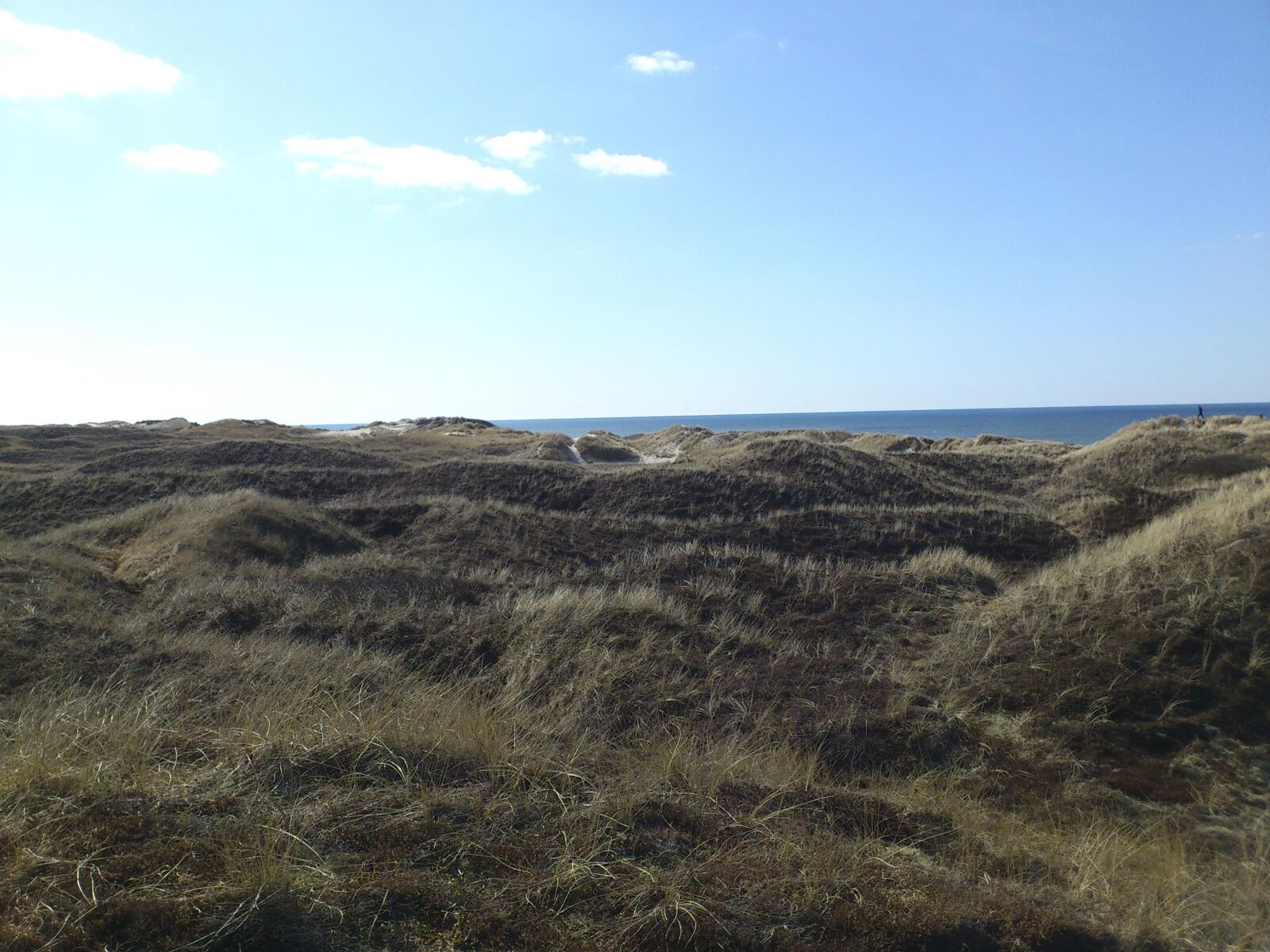 Sony Ericsson Xperia Neo sample photo. Hill, dunes, green photography
