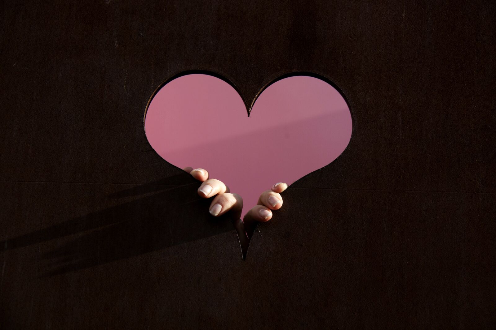 Canon EOS 500D (EOS Rebel T1i / EOS Kiss X3) sample photo. Heart, hands, hollow photography