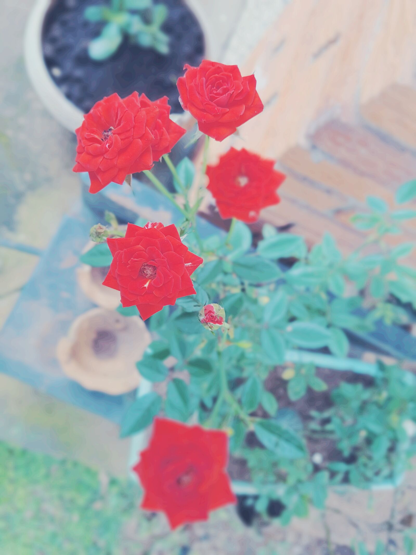 Samsung Galaxy S7 Edge sample photo