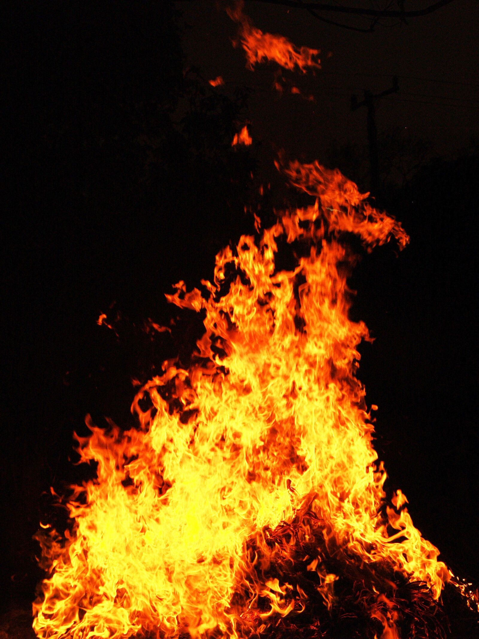 Olympus E-300 (EVOLT E-300) sample photo. Background, blaze, blazing, bonfire photography