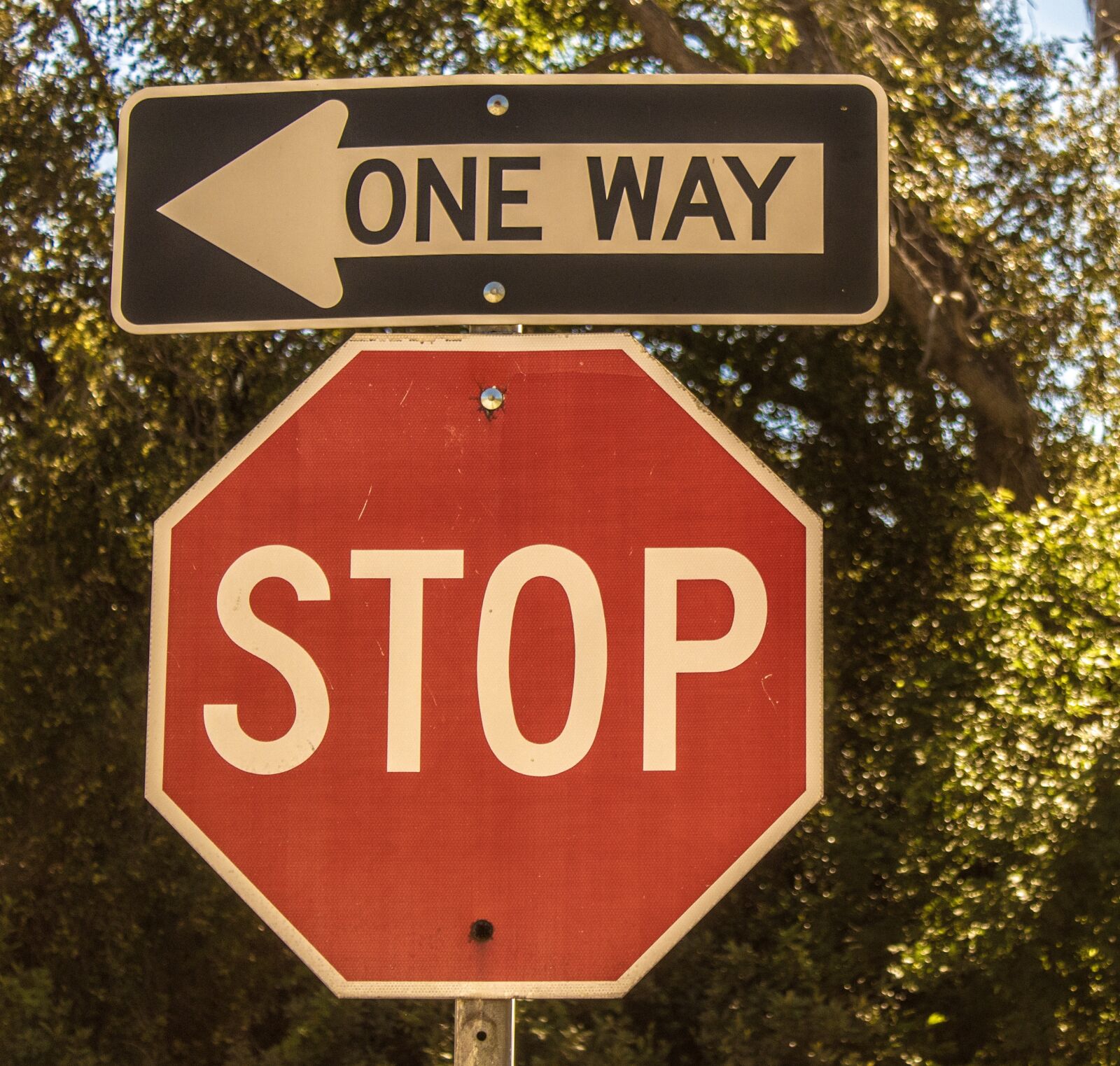 Canon EOS 1300D (EOS Rebel T6 / EOS Kiss X80) sample photo. Stop, sign, vintage photography