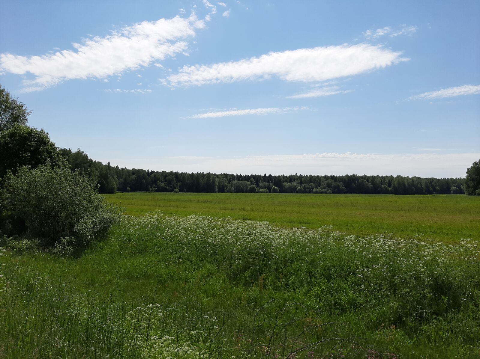Samsung Galaxy A50 sample photo. Field, rybinsk, landscape photography