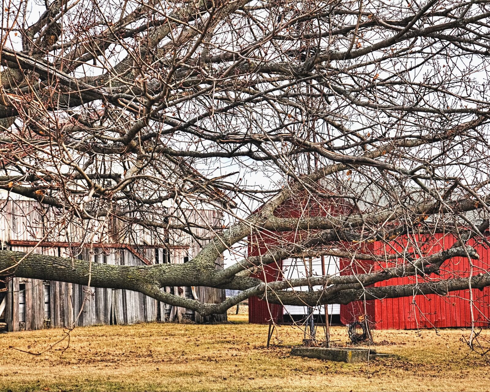 Canon EOS 5D Mark II sample photo. Barn, rustic, barns photography