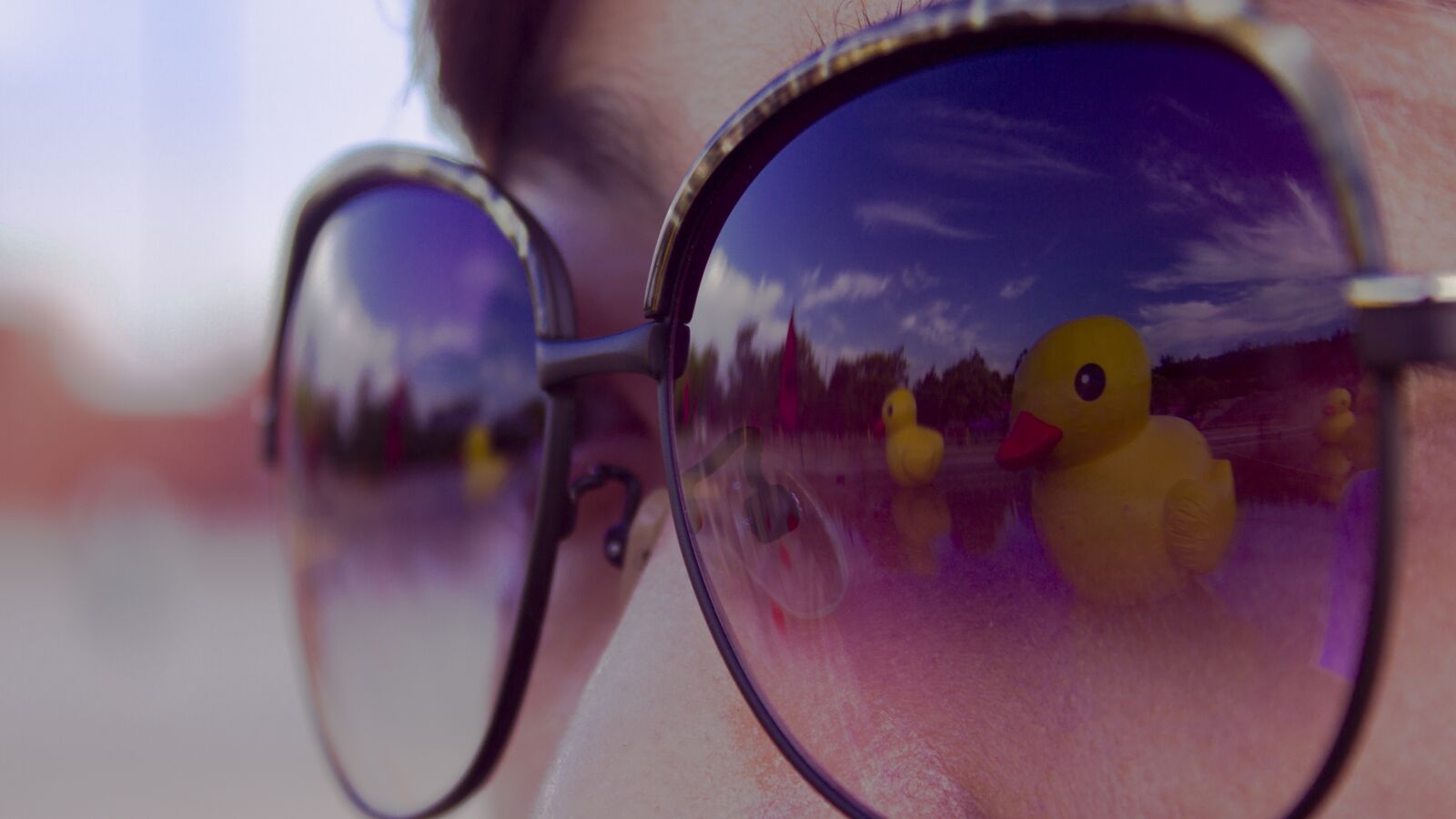Canon EOS 550D (EOS Rebel T2i / EOS Kiss X4) sample photo. Glasses, duck, studio city photography