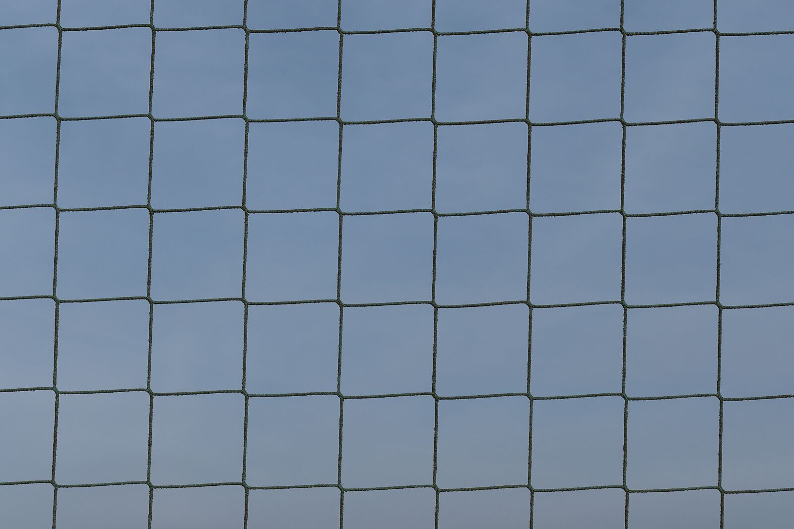 Panasonic Lumix DMC-FZ1000 sample photo. Safety net, knot, goal photography