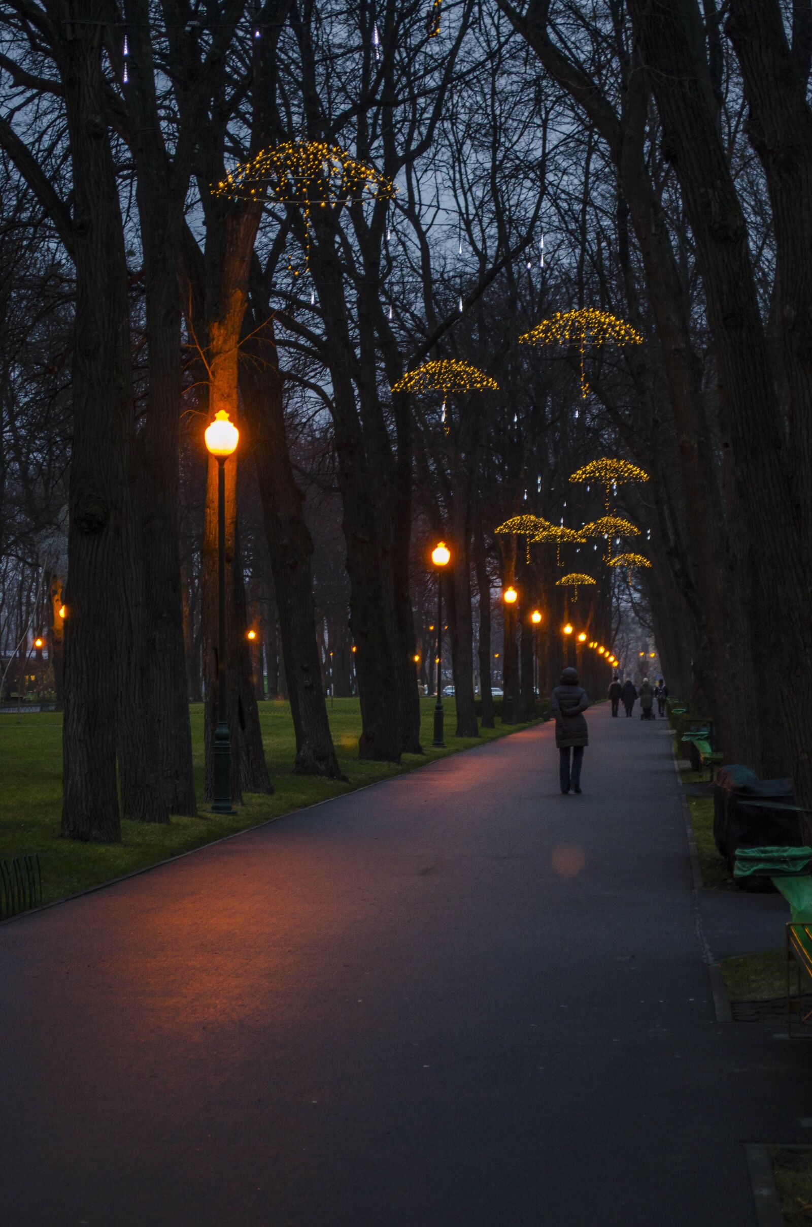 Nikon D5100 sample photo. Park, square, path photography