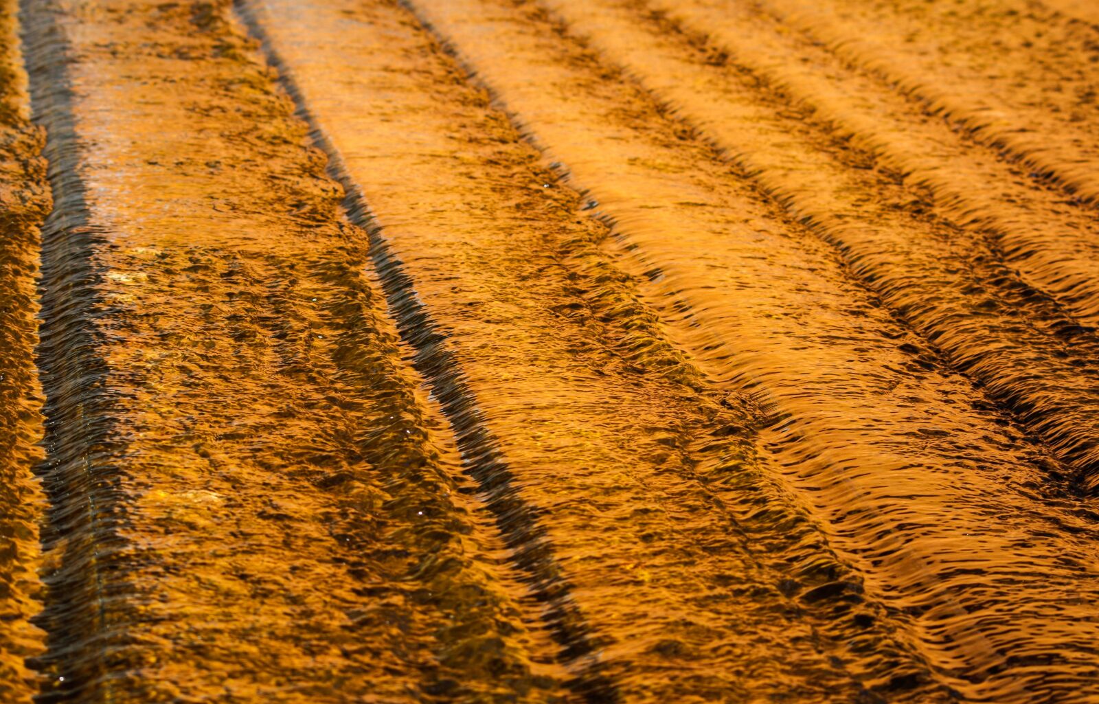 Pentax K-30 sample photo. Water surface, water, gold photography