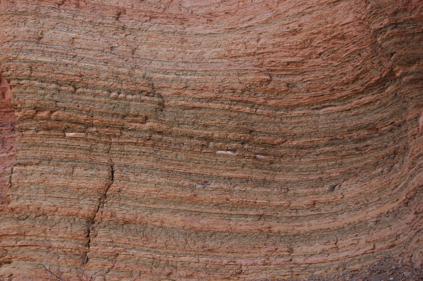 Nikon D40 sample photo. Stone, background, texture photography