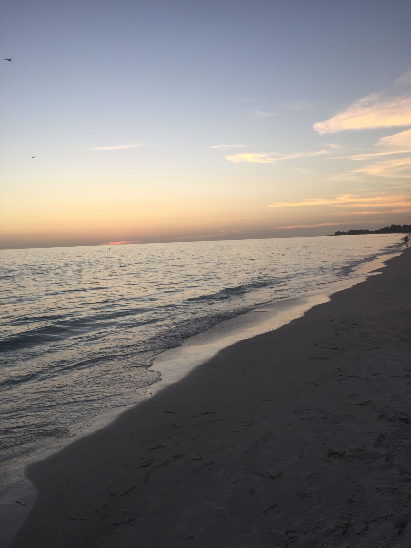 Apple iPhone 6 sample photo. Beach, calm, ocean, peace photography
