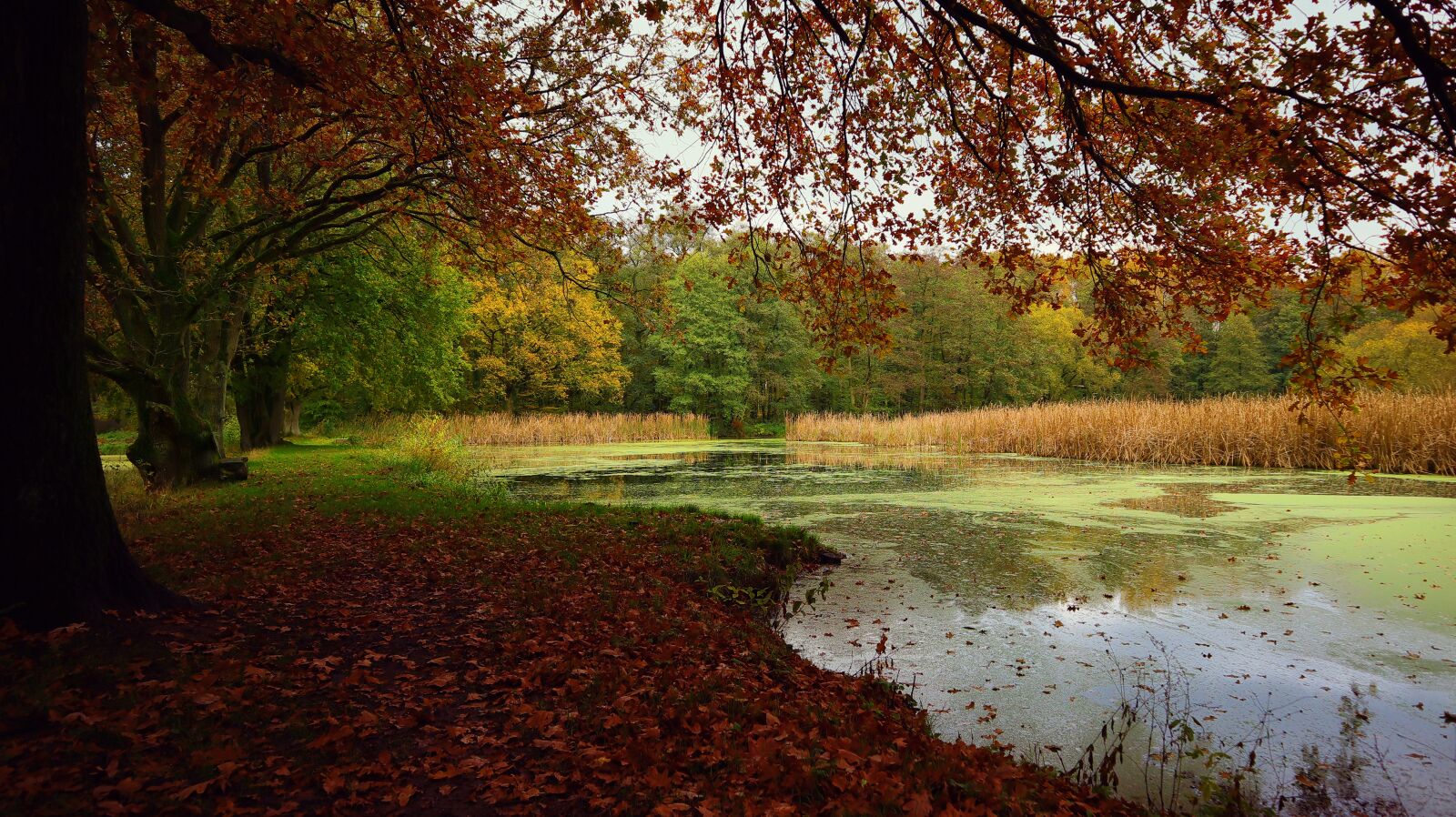 Canon EF-M 15-45mm F3.5-6.3 IS STM sample photo. Landscape, autumn, lake photography