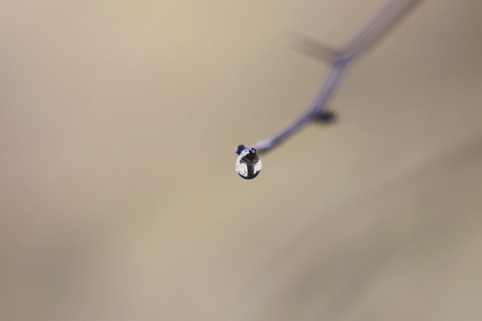 Canon EOS 7D Mark II sample photo. Drop, pearl, water photography