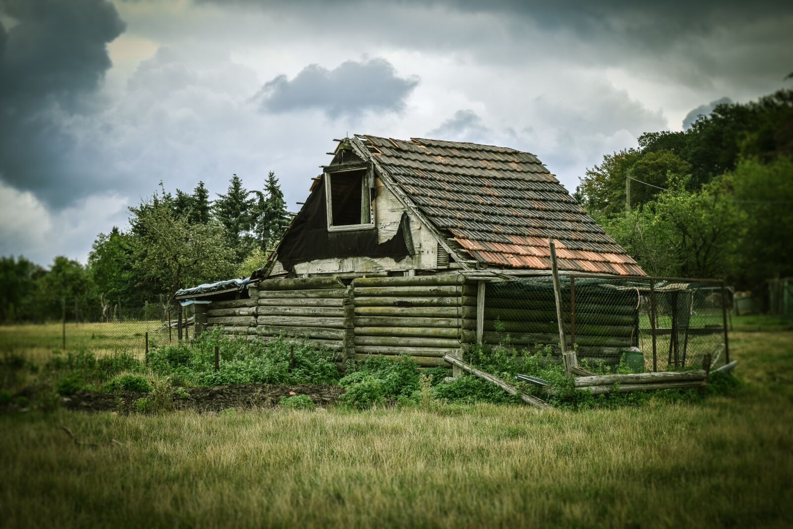 Nikon D3300 sample photo. Barn, stall, nature photography