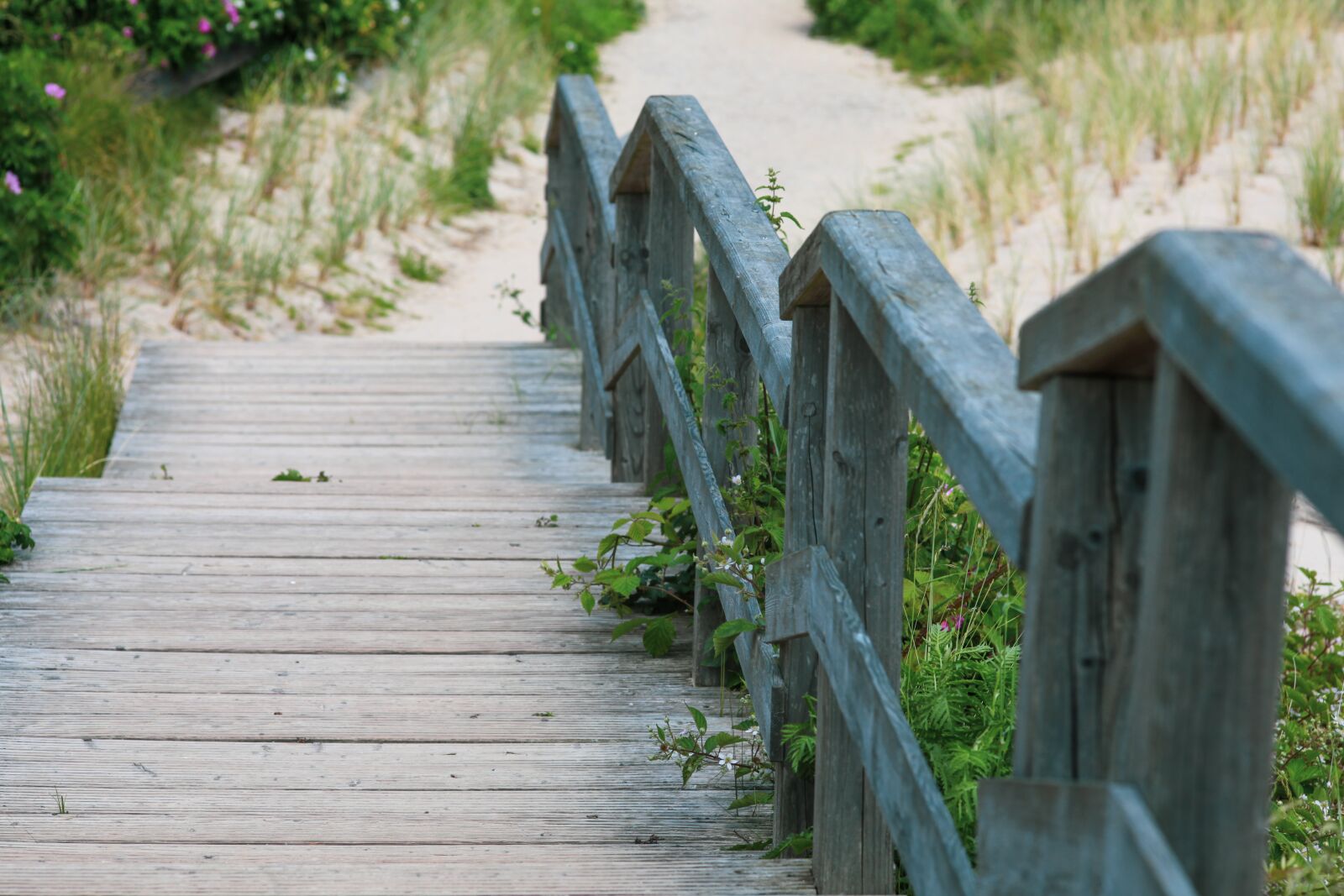 Canon EOS 5D Mark II sample photo. Wooden planks pier, braderup photography