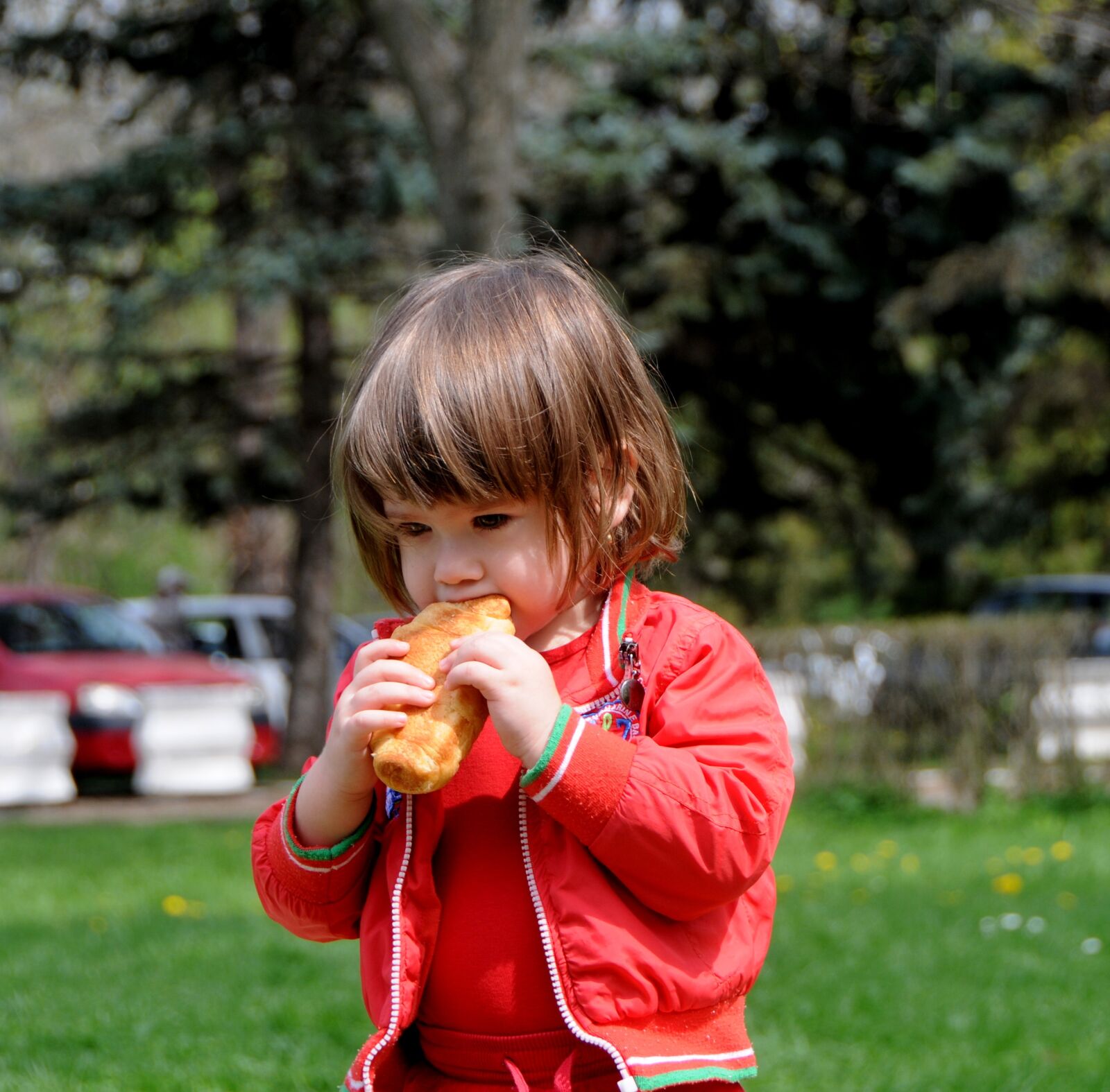 Nikon D300 sample photo. Girls, kids, horn photography