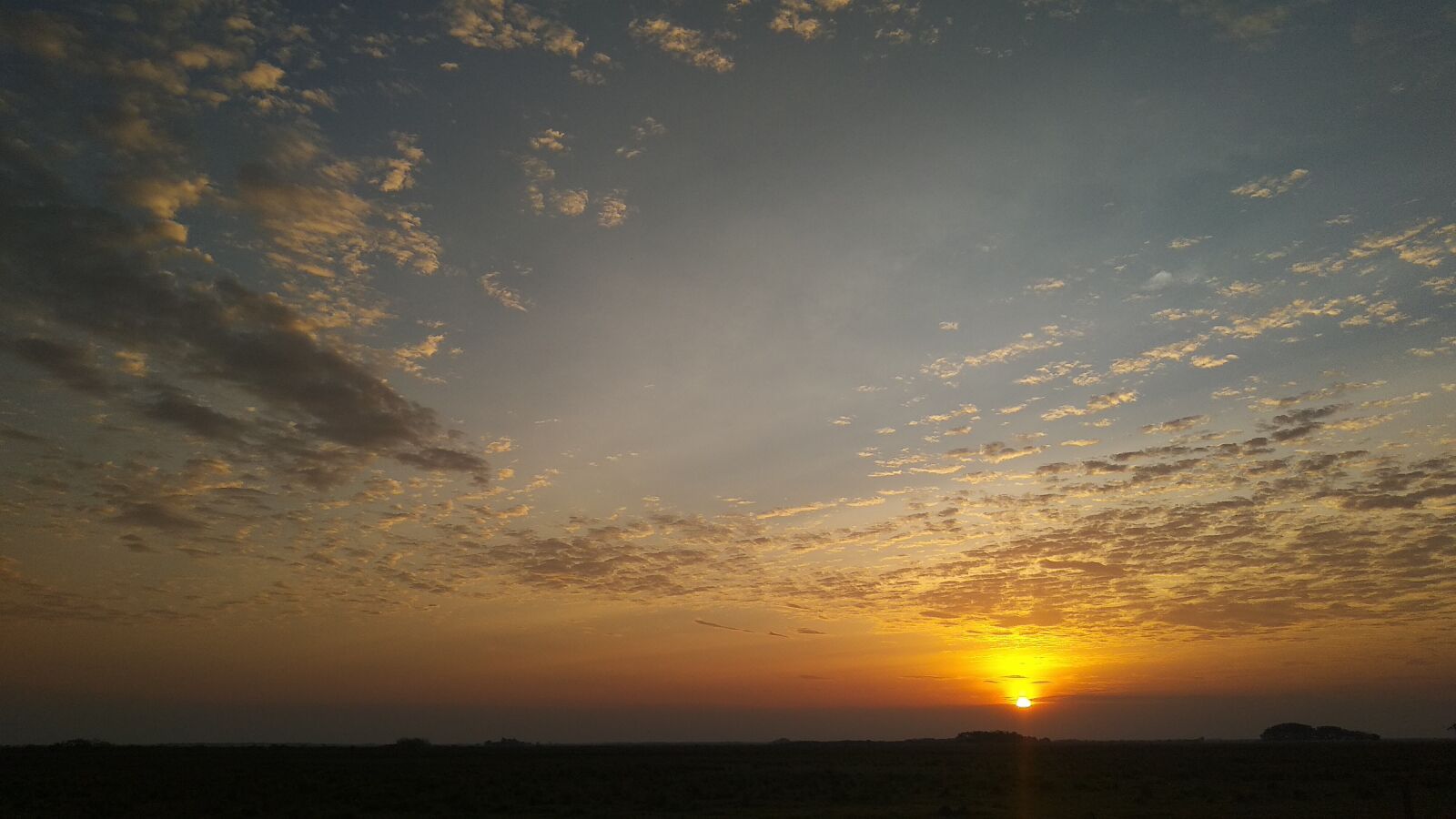 Xiaomi Mi A1 sample photo. Dawns, plain, sky photography