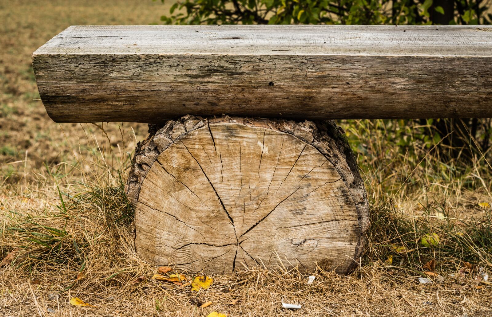 Canon EOS 700D (EOS Rebel T5i / EOS Kiss X7i) sample photo. Bench, wooden, strain photography
