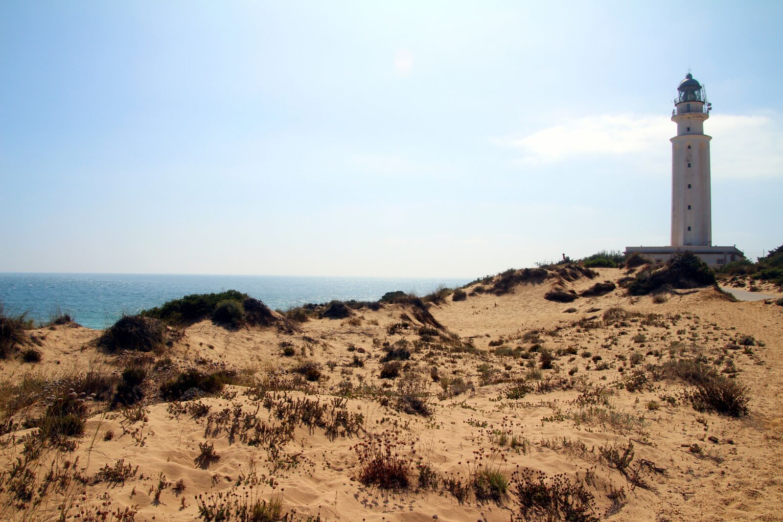 Canon EOS 700D (EOS Rebel T5i / EOS Kiss X7i) sample photo. Cap trafalgar, dunes, sand photography