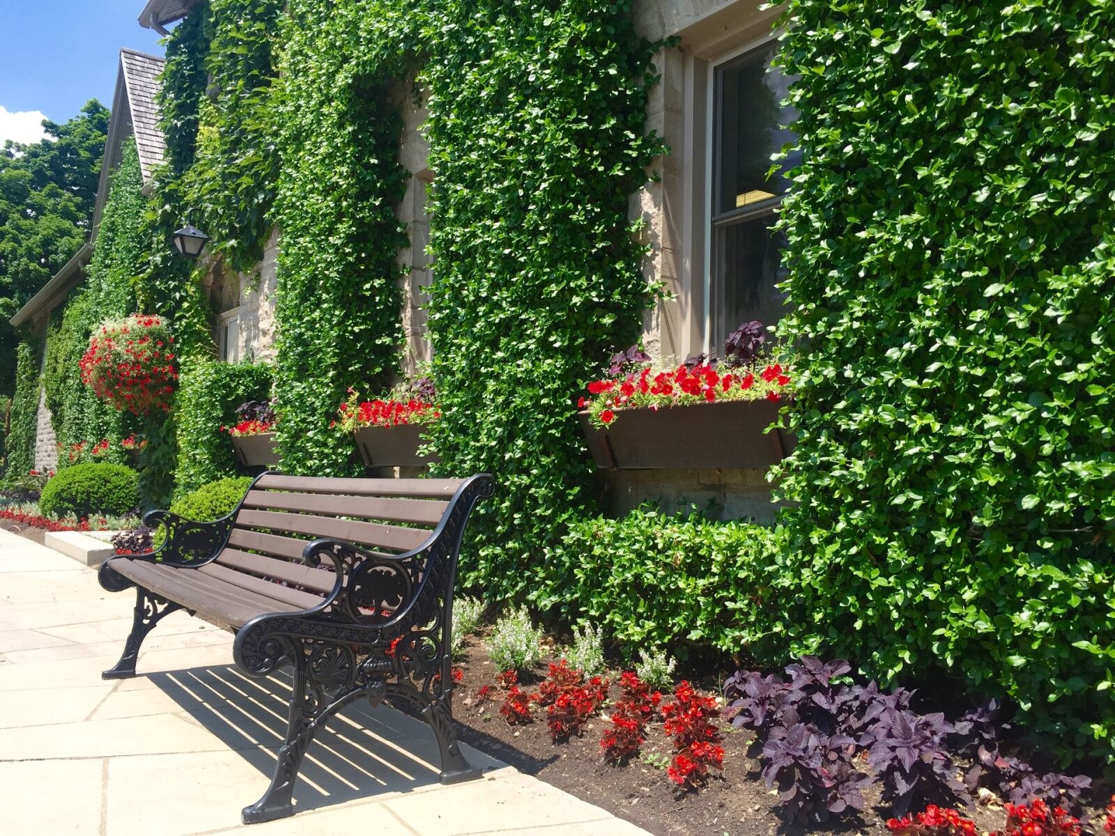 Apple iPhone 6 sample photo. Bench, nature, wall photography