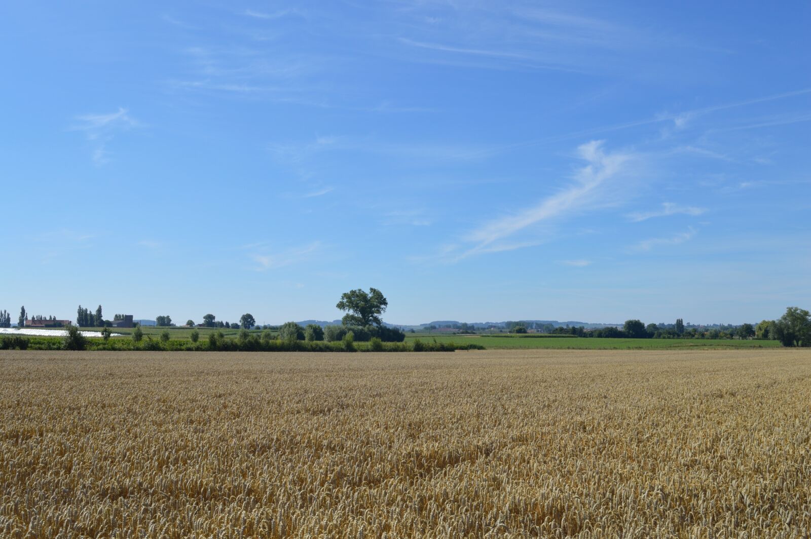 Nikon D3200 sample photo. Landscape, blue sky, horizon photography