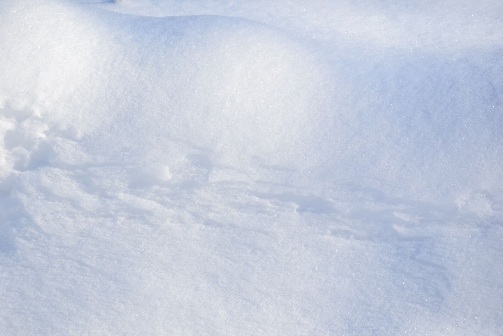 Nikon D3100 sample photo. Snow, winter, snowflakes photography