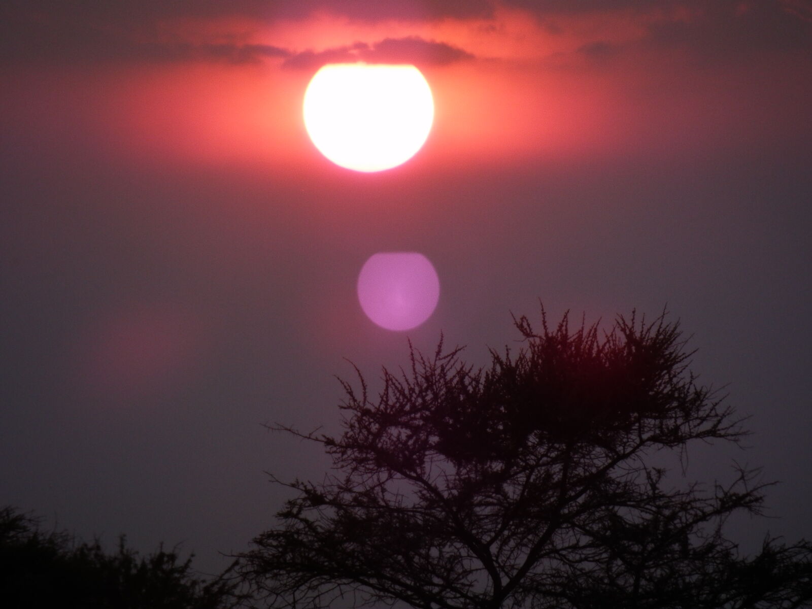 Olympus SZ-30MR sample photo. Tansania, sunset photography