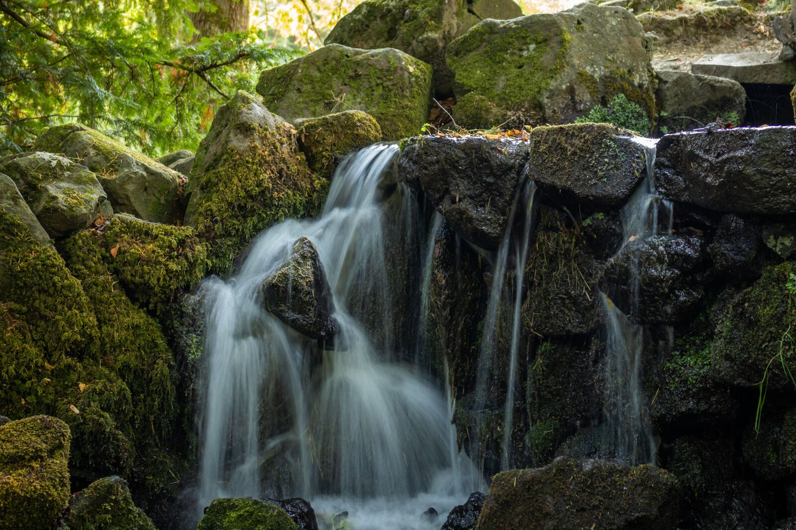 Canon EOS 80D sample photo. Water, nature, forest photography