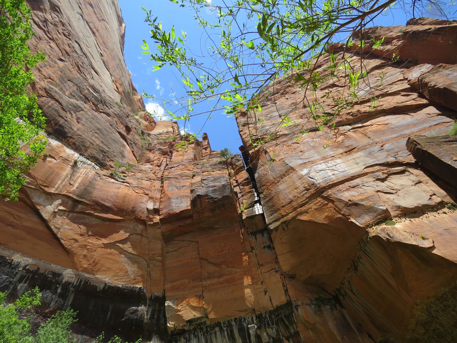 Canon PowerShot SX50 HS sample photo. Hiking, utah, rock formation photography