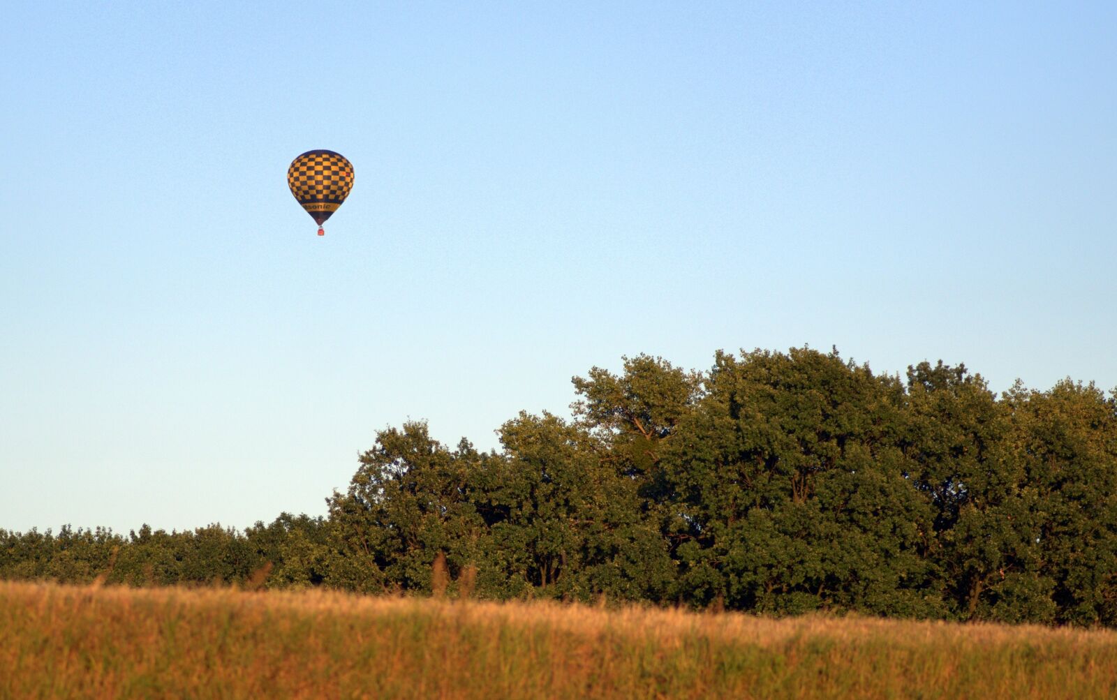 Pentax K-S2 sample photo. Balloon, meadow, forest photography