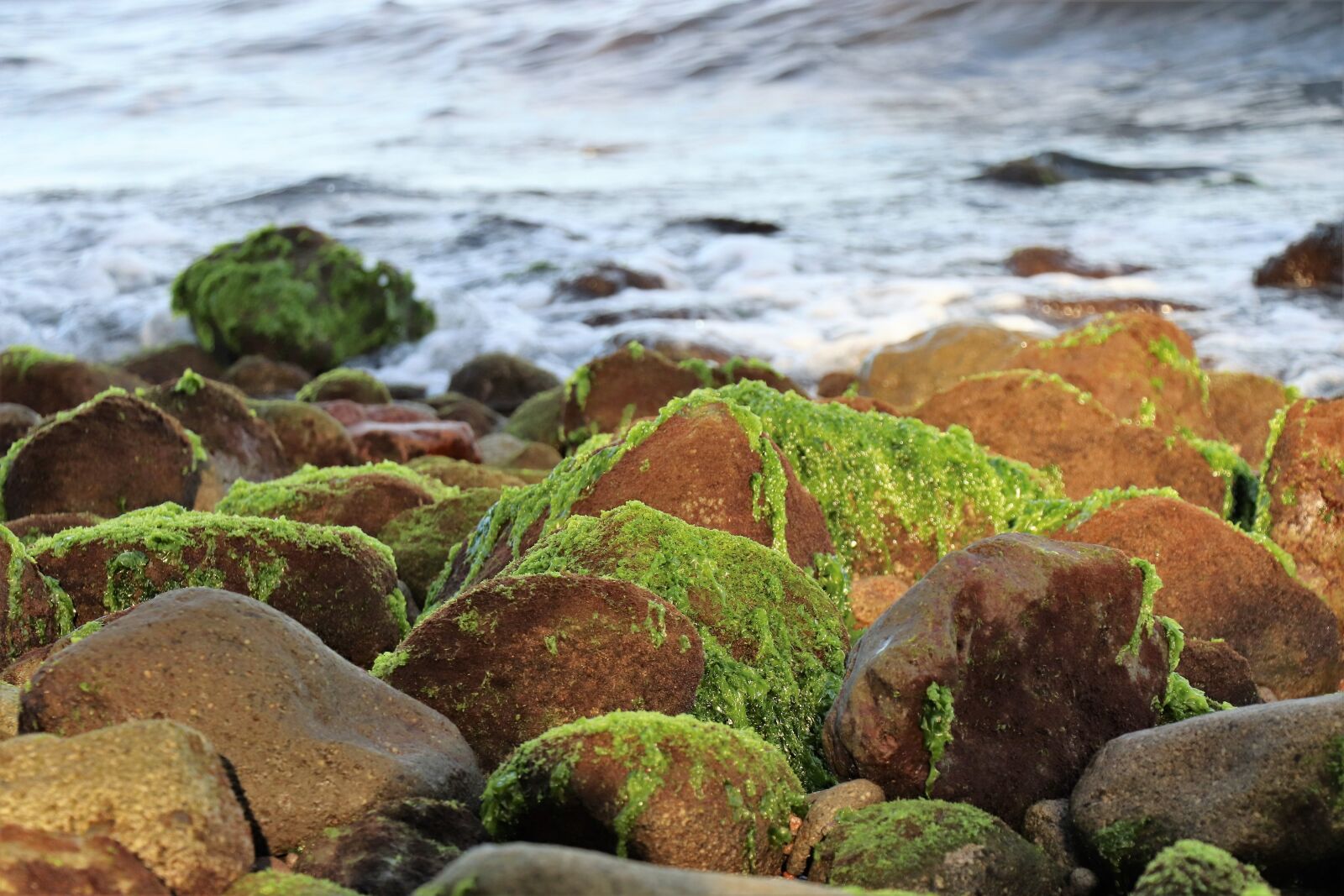 Canon EOS 77D (EOS 9000D / EOS 770D) sample photo. Sea, stones, ocean photography
