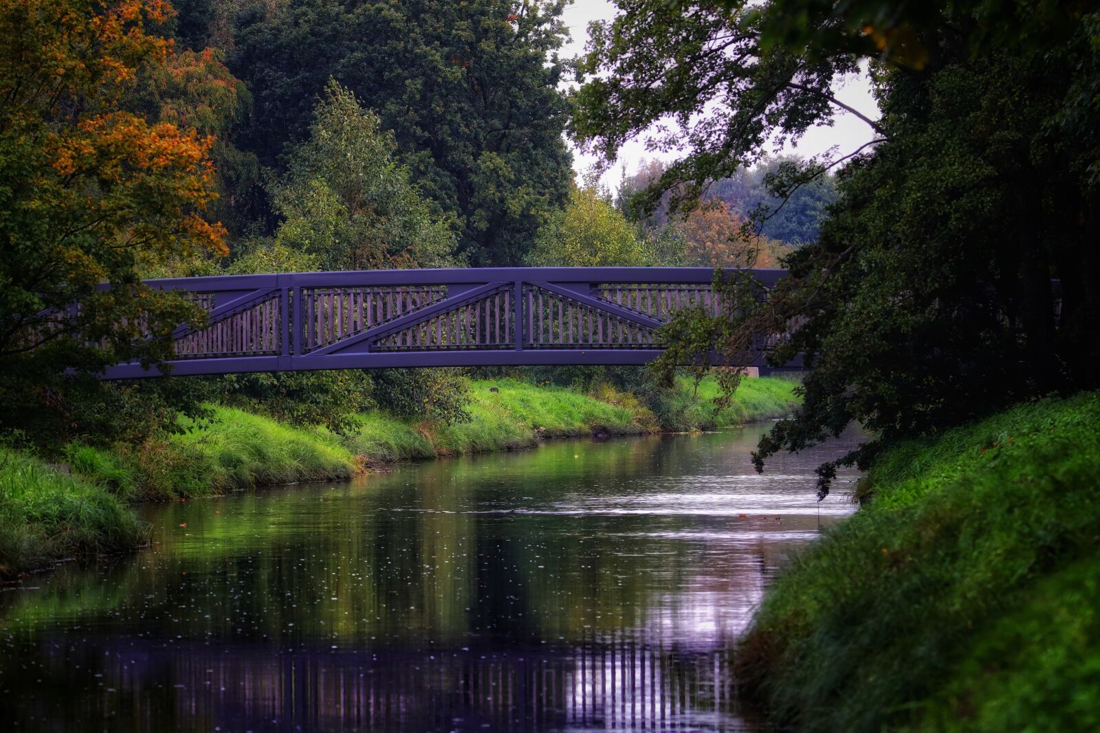 Canon EOS 200D (EOS Rebel SL2 / EOS Kiss X9) sample photo. Nature, bridge, autumn photography