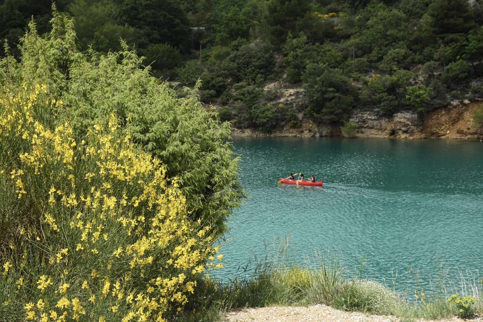 Nikon D5600 sample photo. Verdon, lake, sainte-croix-du-verdon photography