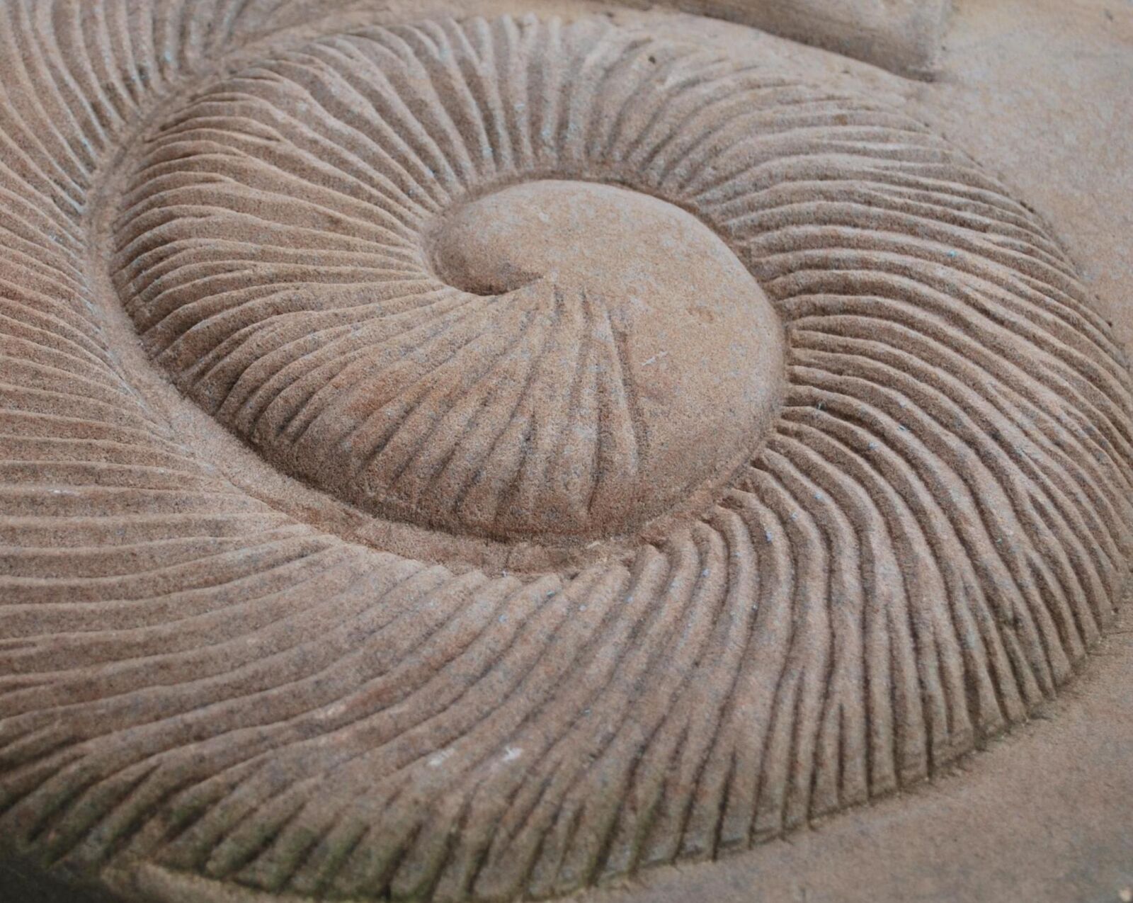 Nikon D60 sample photo. Spiral, garden, pierre photography