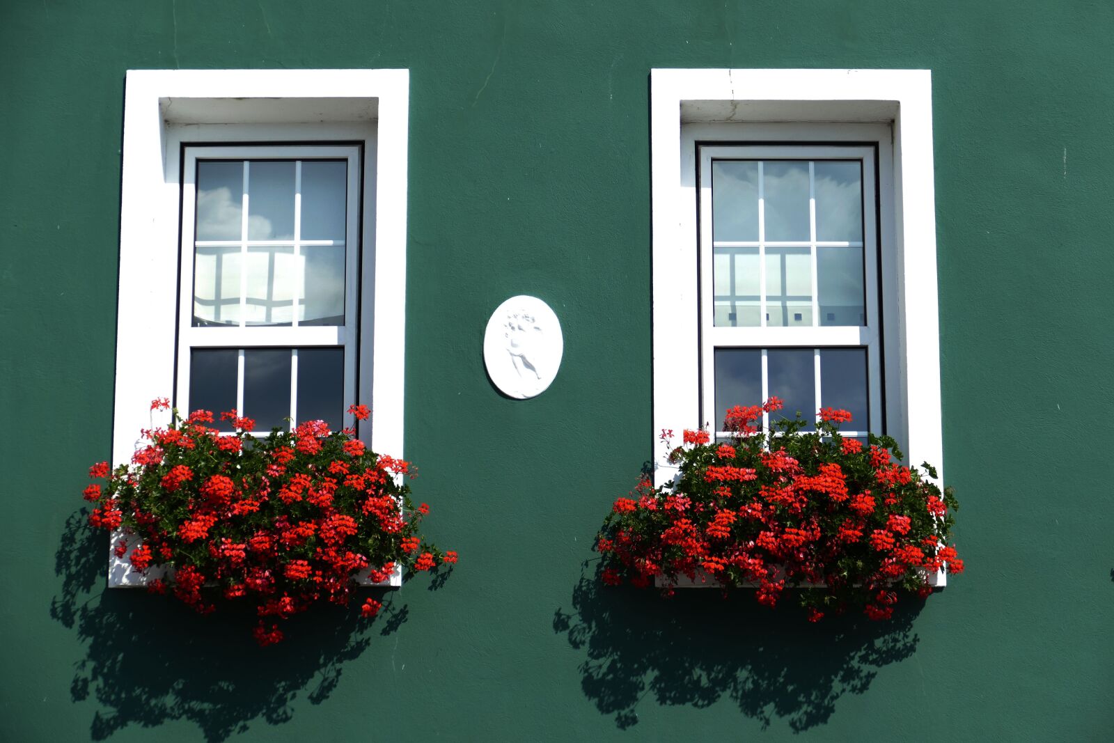 Panasonic Lumix DMC-FZ1000 sample photo. Window, facade, flower box photography