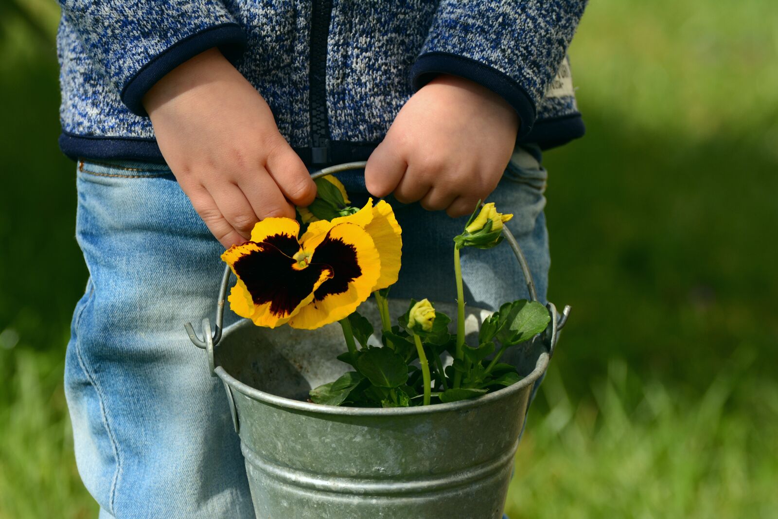 Nikon D5200 sample photo. Pansy, child, children's hands photography