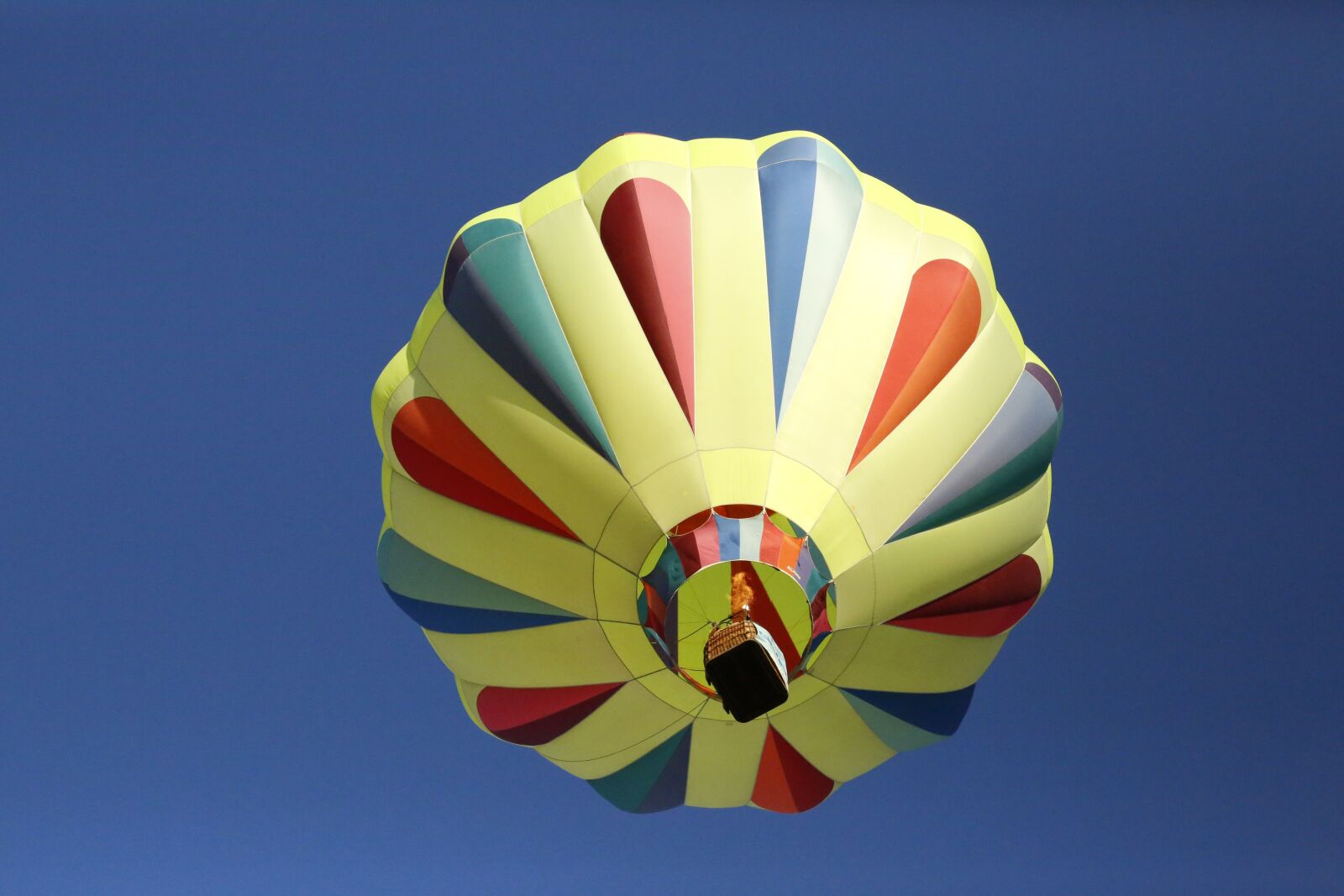 Canon EF 24-105mm F4L IS USM sample photo. Balloon, balloon classic, arizona photography