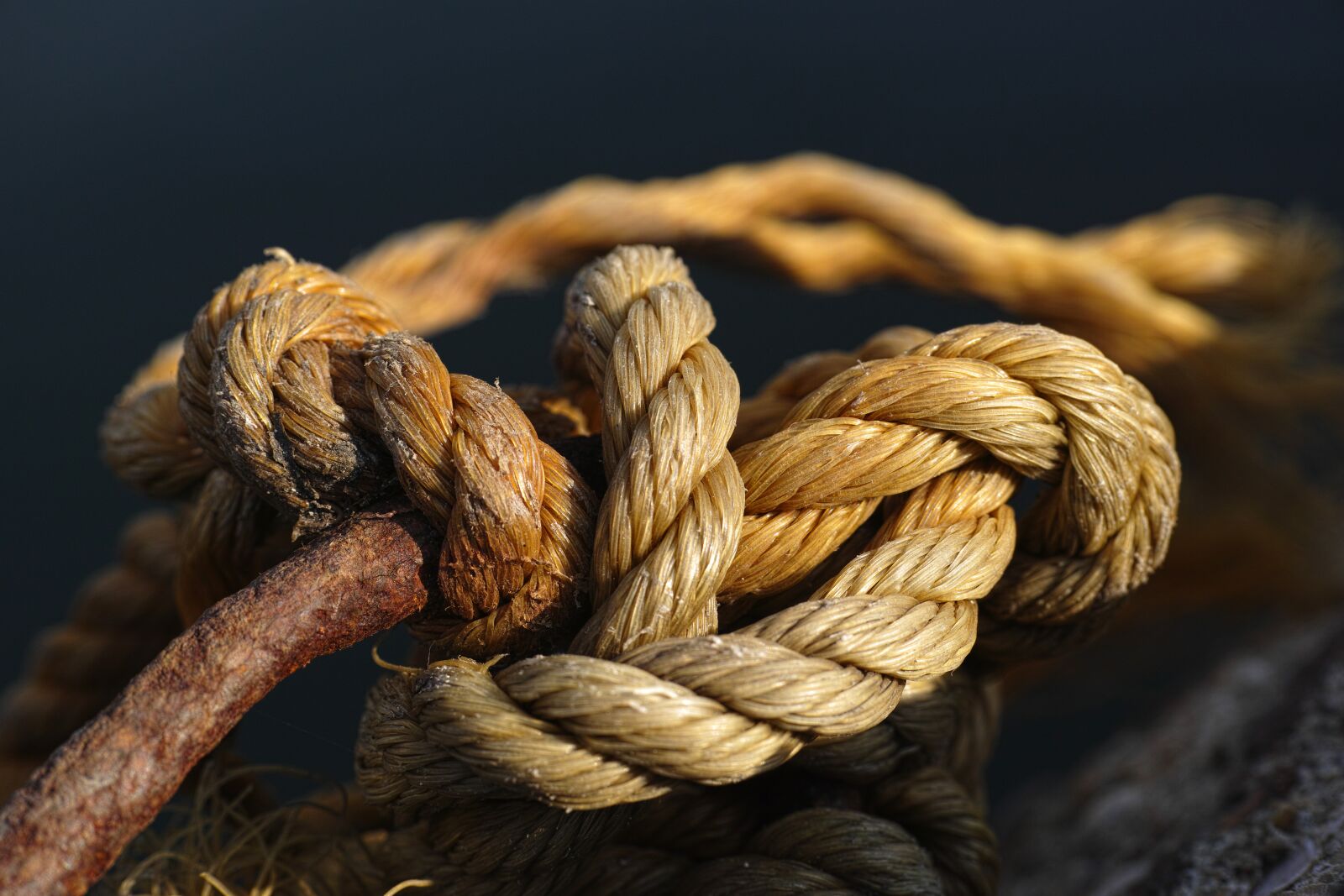 Sigma DP3 Merrill sample photo. Rope, connect, old photography